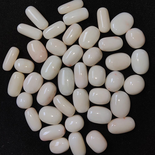 White Coral/Munga - Medium Quality